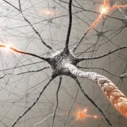 Weighing the Risks and Benefits of MS Medications 